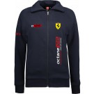 color:Navy